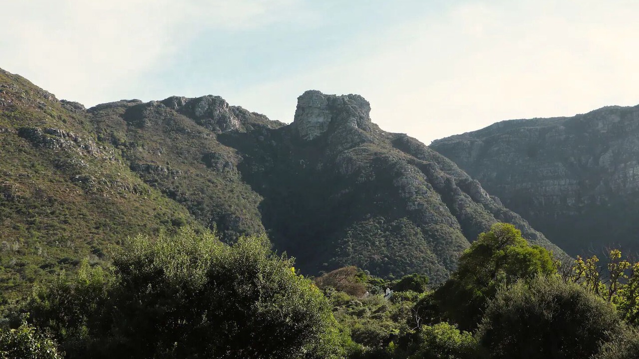 Photo of Outdoor in Newlands