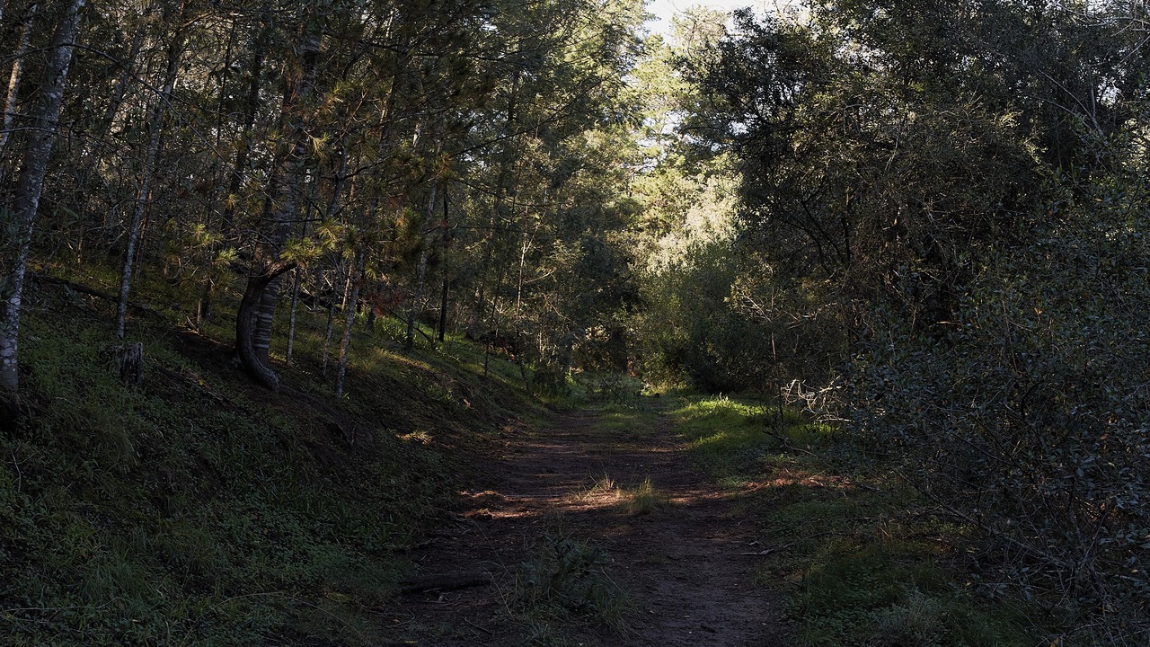 Photo of Others in Knysna