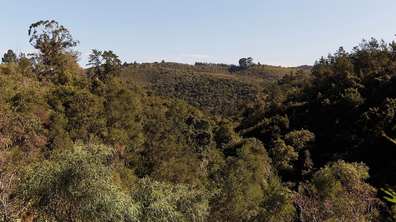 Photo of Outdoor in Knysna