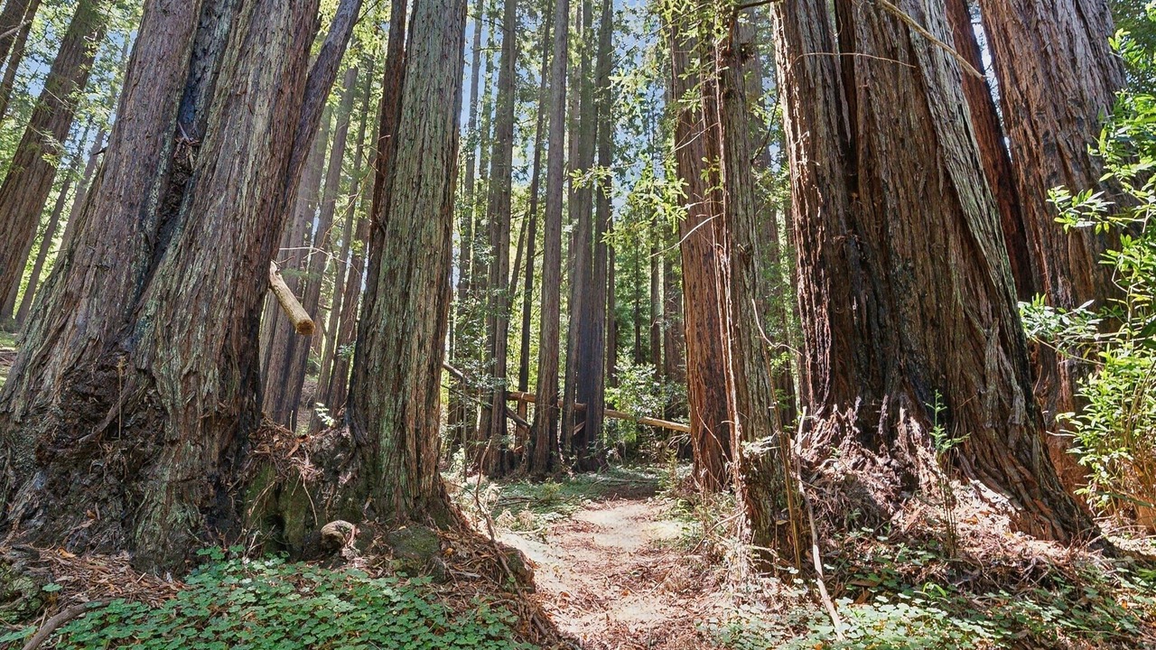 Photo of Outdoor in Freestone
