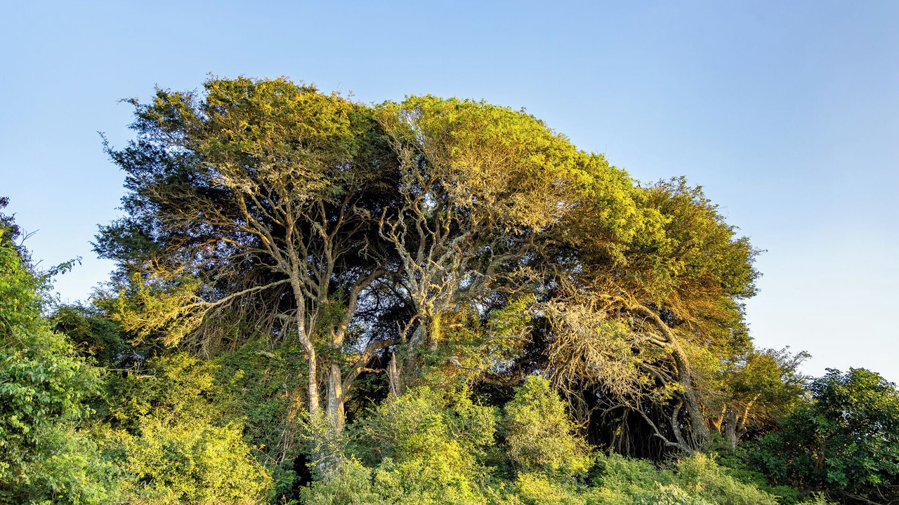 Photo of Outdoor in Hluhluwe