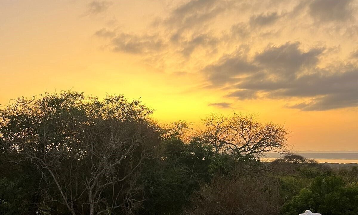 Photo of Outdoor in Hluhluwe