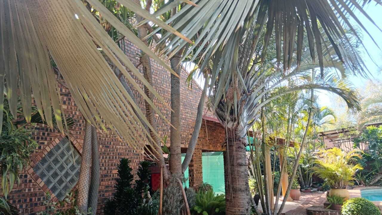 Photo of Outdoor in Mokopane