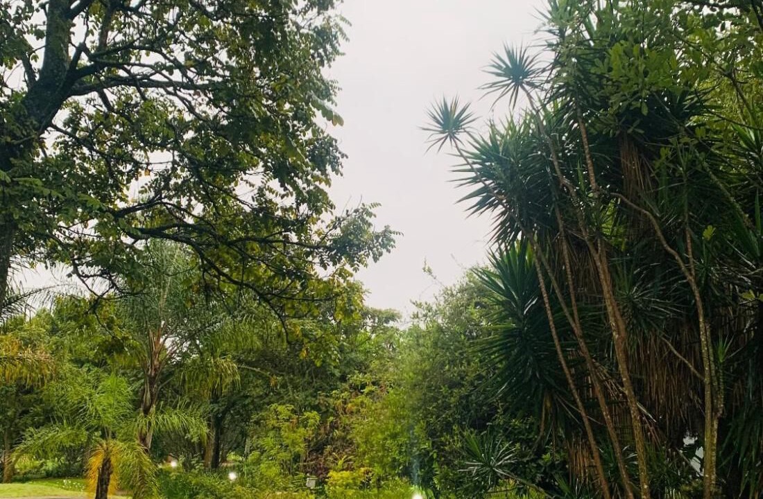 Photo of Outdoor in White River
