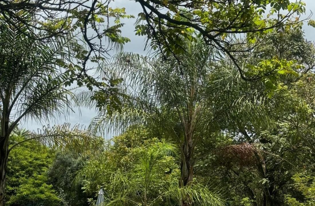 Photo of Outdoor in White River