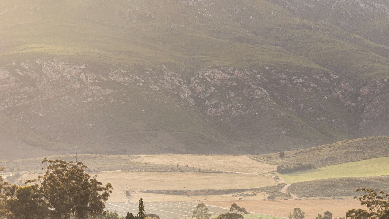 Photo of Outdoor in Boesmanspad