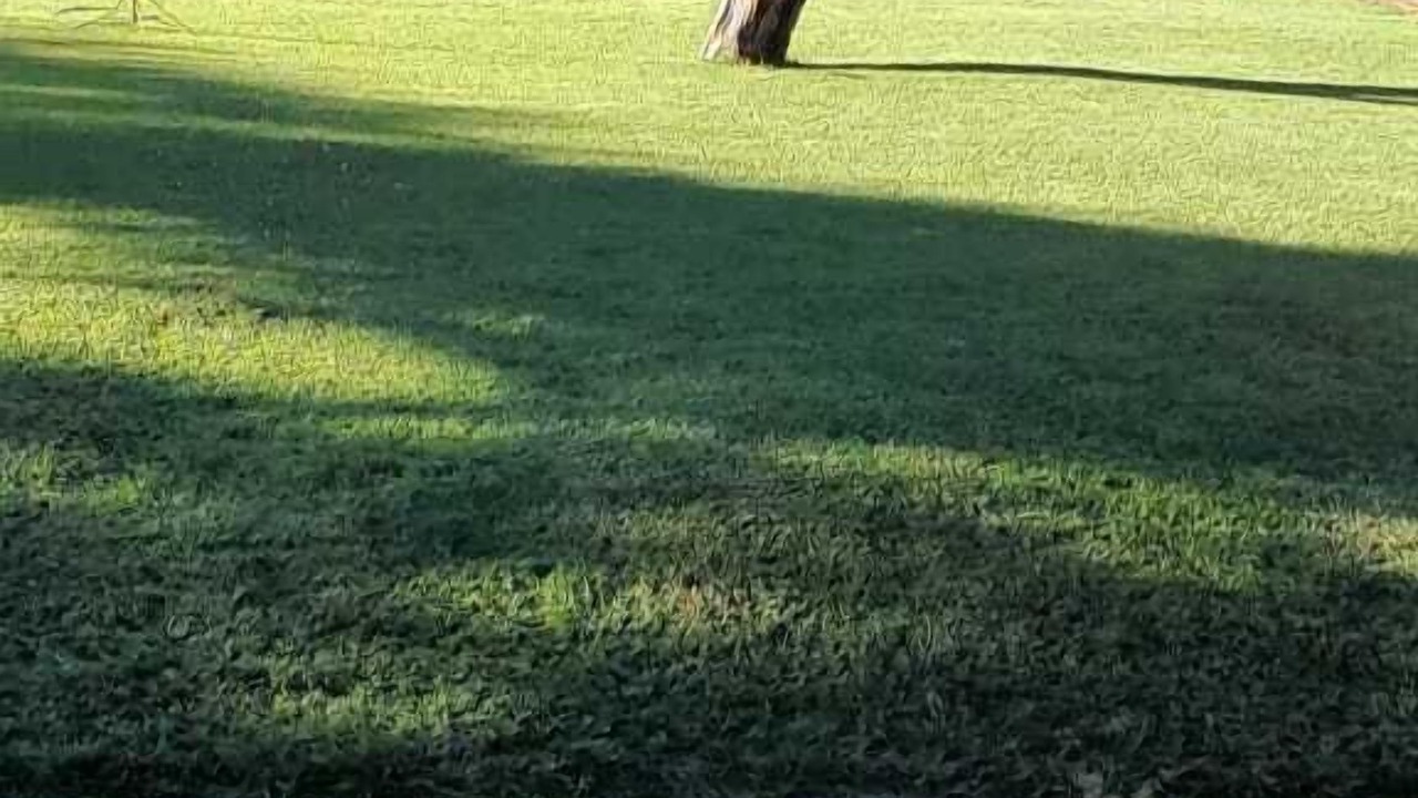 Photo of Outdoor in Vryburg