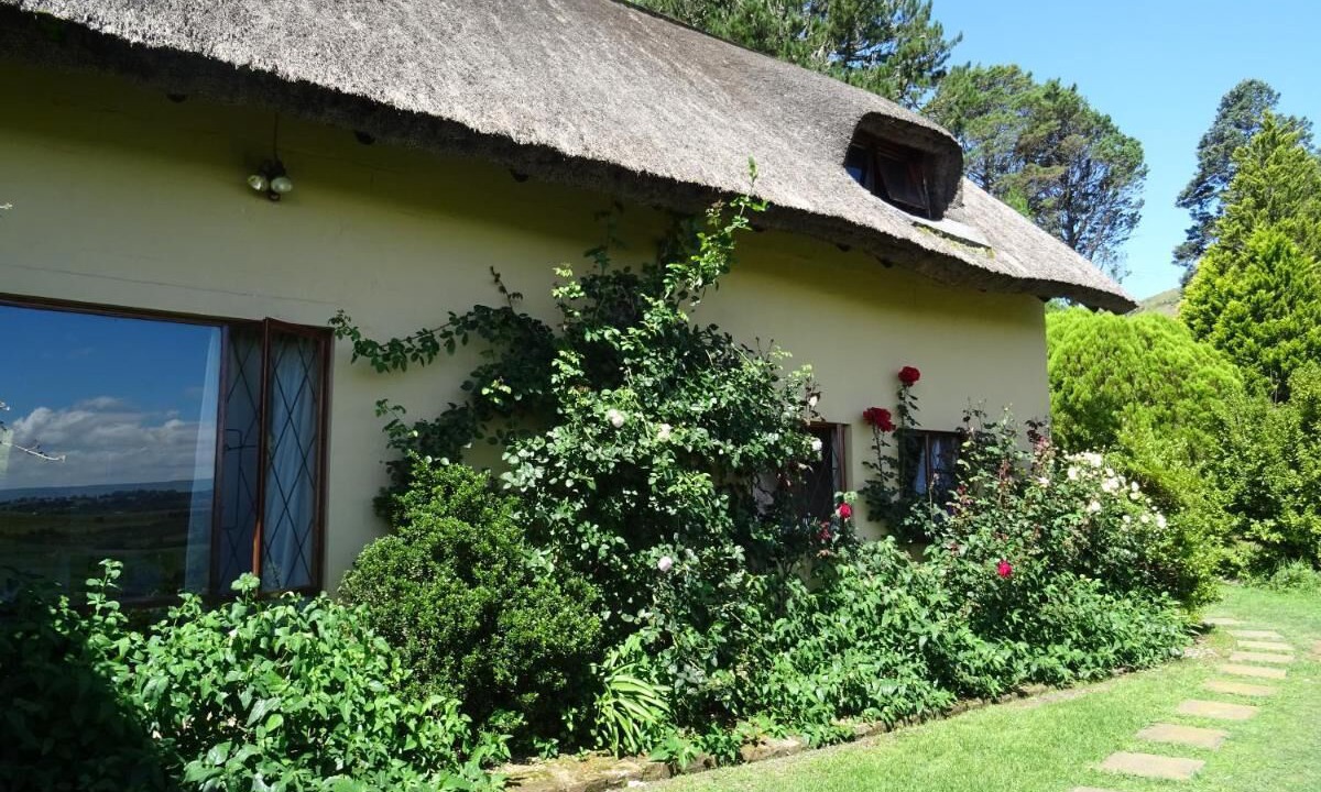 Photo of Outdoor in Umtshezi
