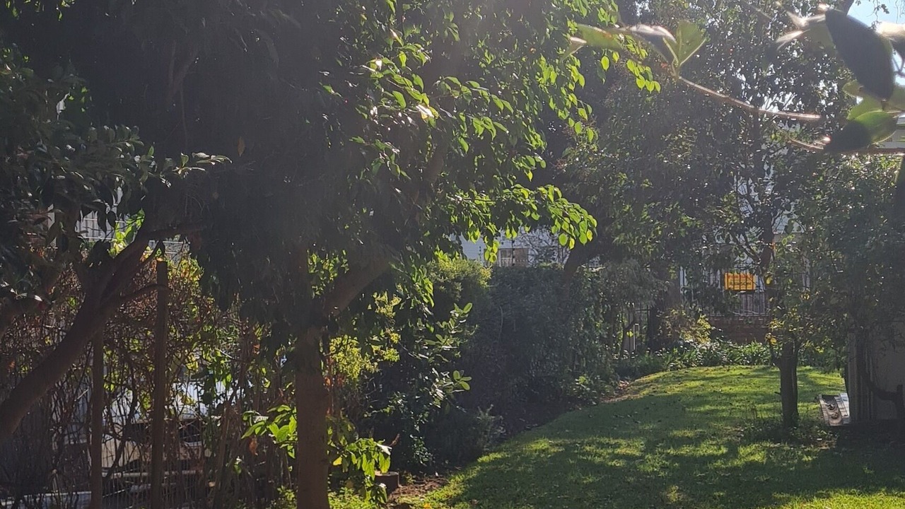 Photo of Others in Rondebosch