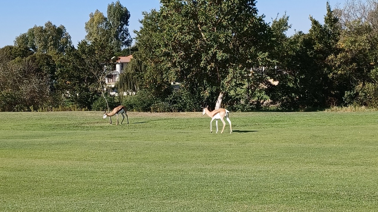 Photo of Others in Vredefort