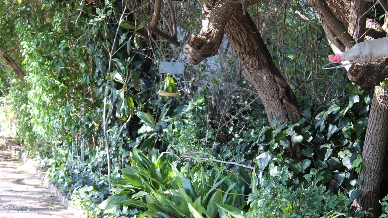Photo of Outdoor in Beaufort West
