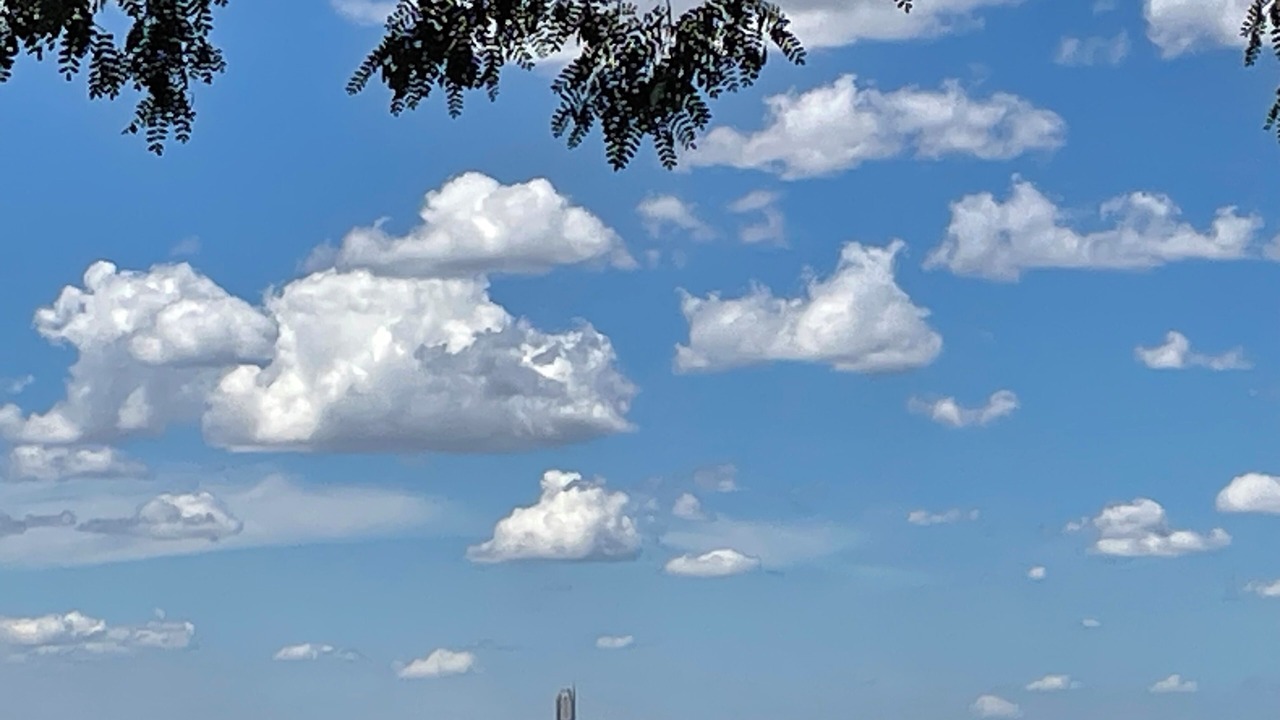 Photo of Outdoor in Northcliff
