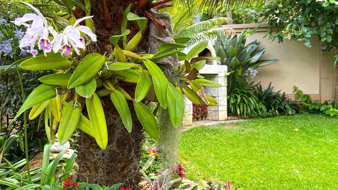 Photo of Outdoor in Faerie Glen