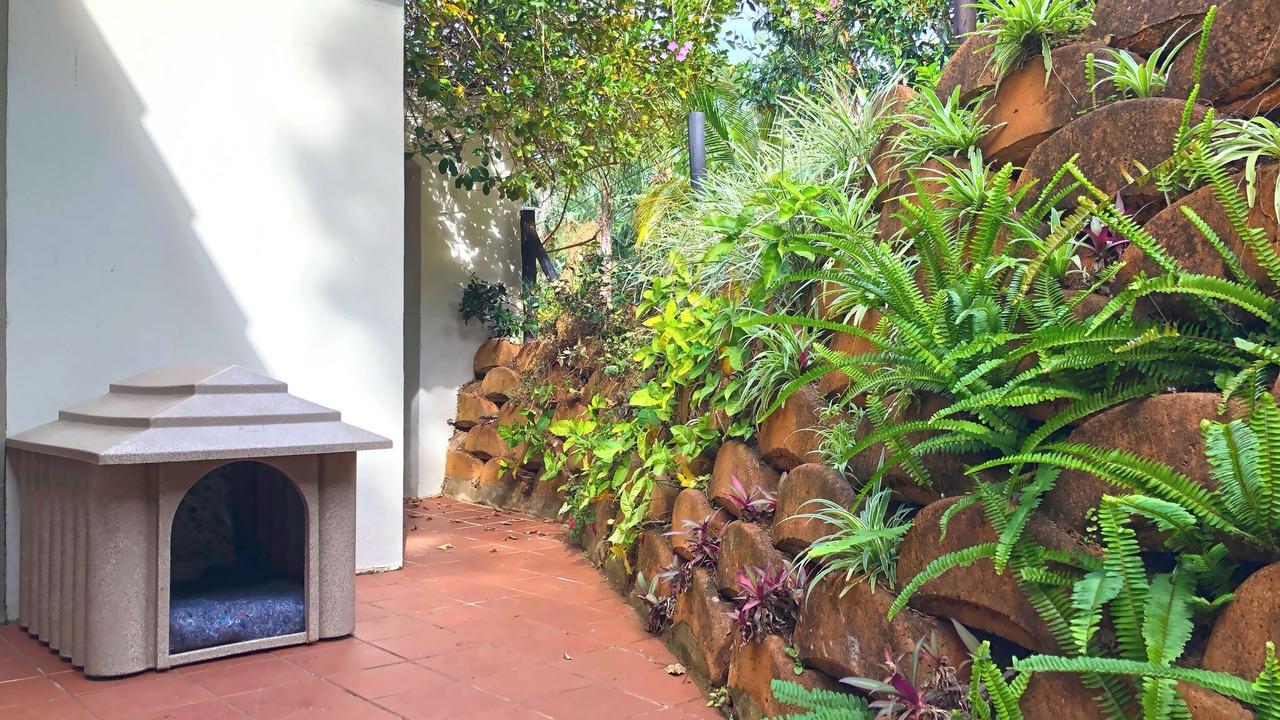 Photo of Outdoor in Southbroom