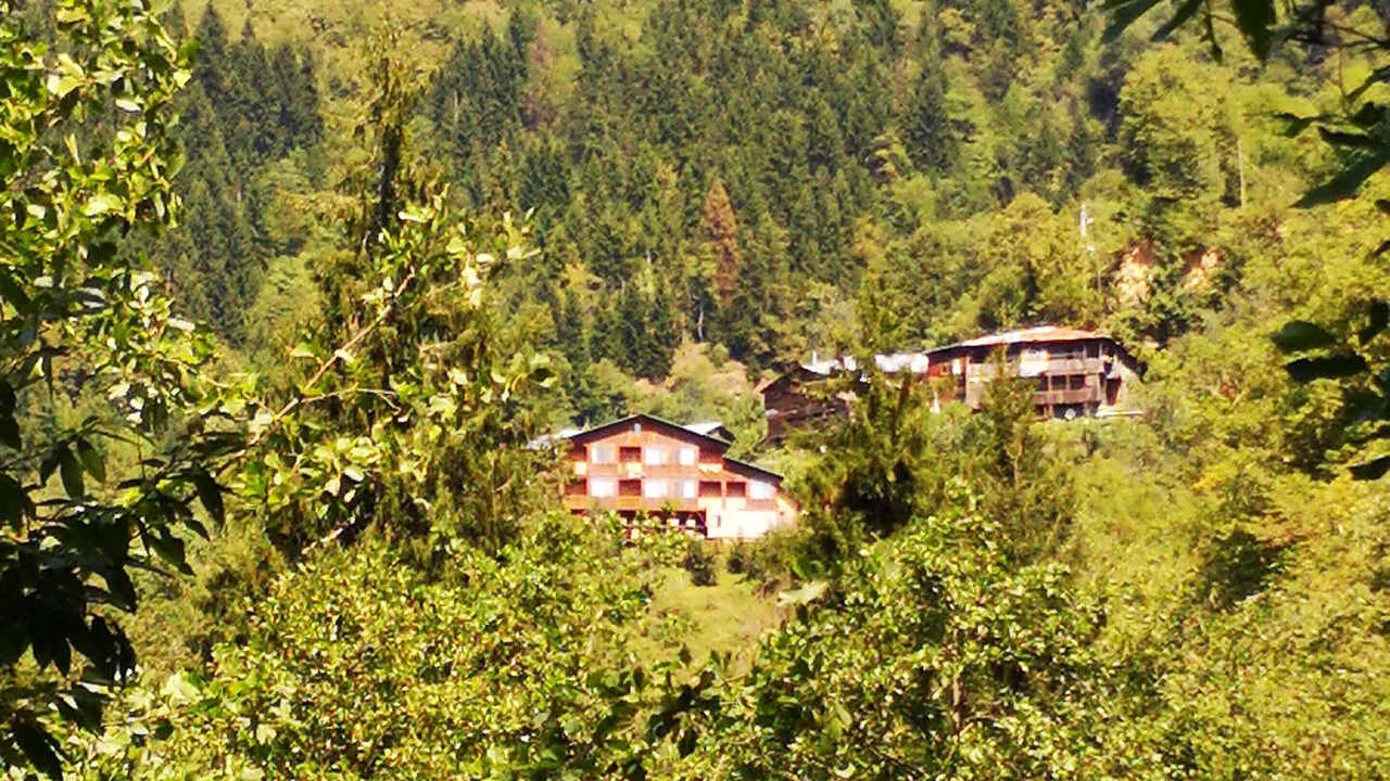 Photo of Outdoor in Borcka