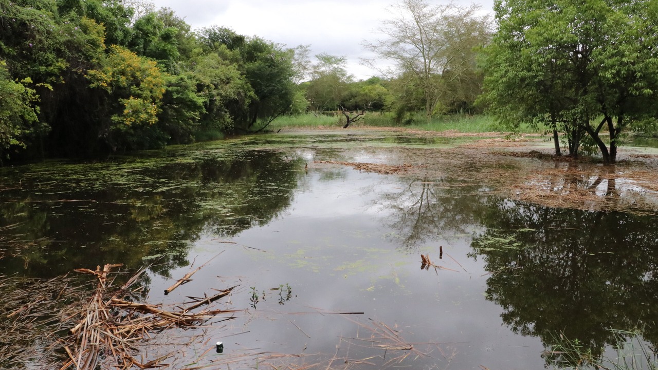 Photo of Outdoor in Phalaborwa