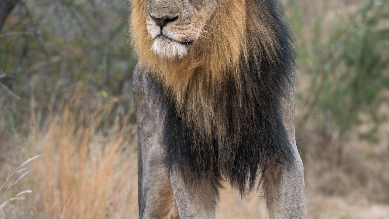 Photo of Others in Thorny Bush Game Reserve