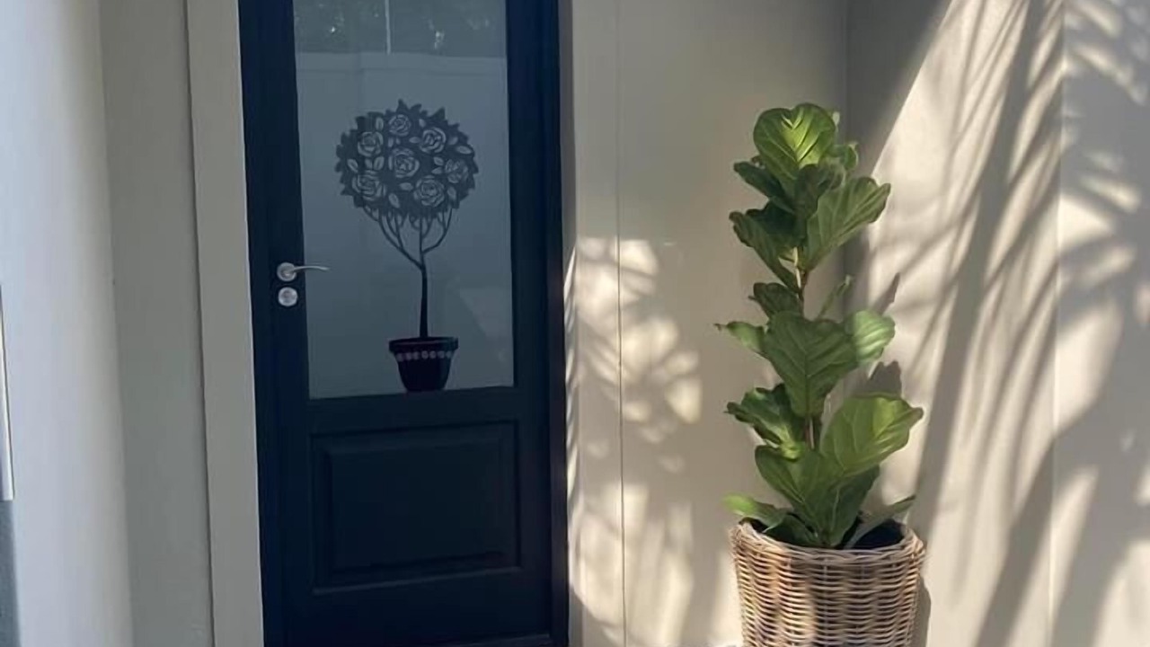 Photo of Outdoor in Constantia