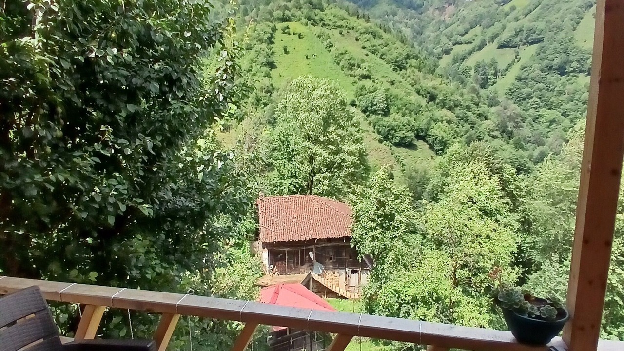 Photo of Bedroom in Rize