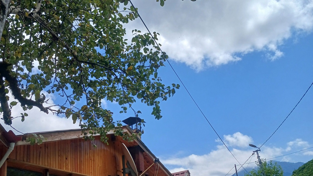 Photo of Outdoor in Rize