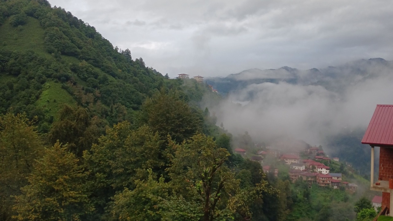 Photo of Others in Rize