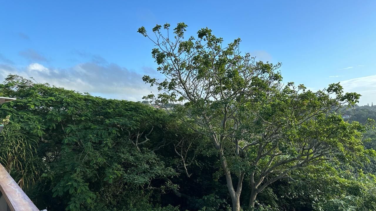 Photo of Outdoor in Hibberdene