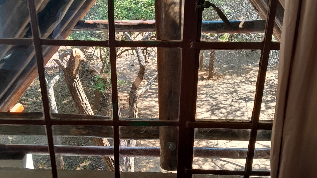Photo of Others in Marloth Park