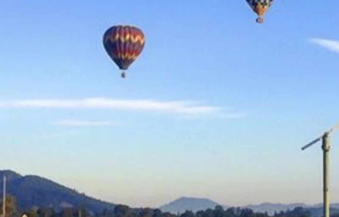 Photo of Others in Napa