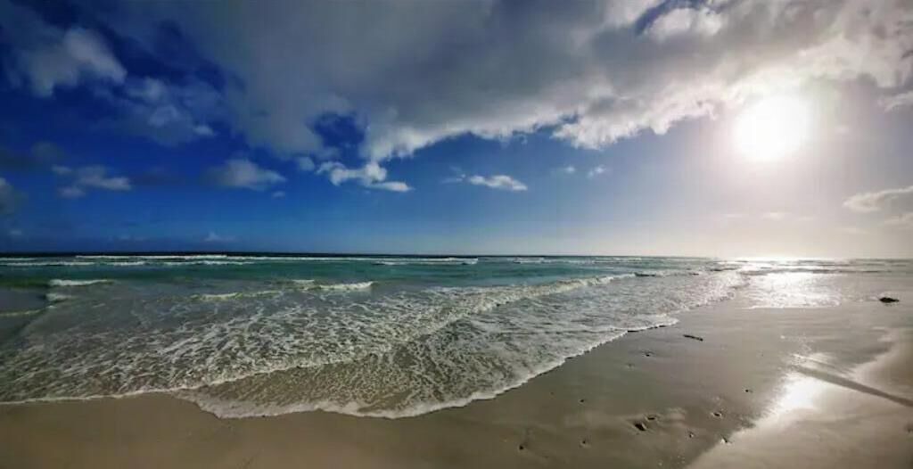 Photo of Others in Pearly Beach
