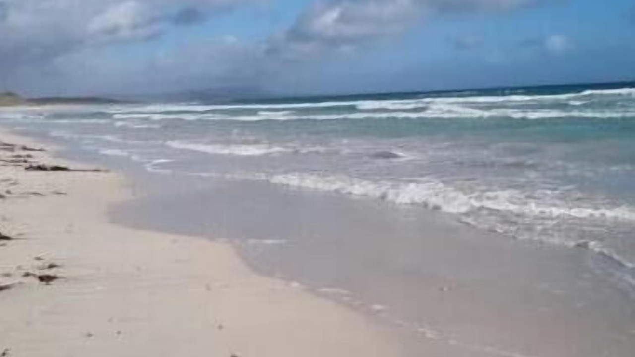 Photo of Others in Pearly Beach