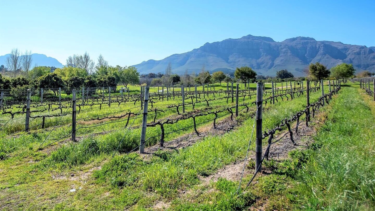 Photo of Outdoor in Stellenbosch