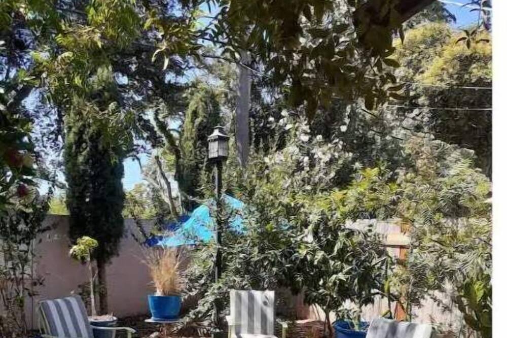 Photo of Outdoor in North Oak Park