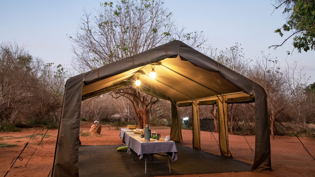 Photo of Others in Kruger National Park