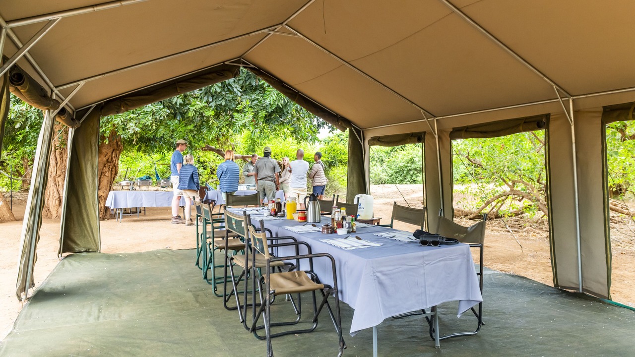 Photo of Others in Kruger National Park