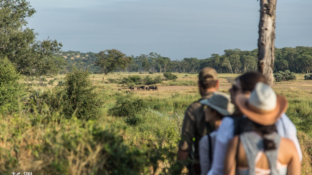 Photo of Outdoor in Kruger National Park
