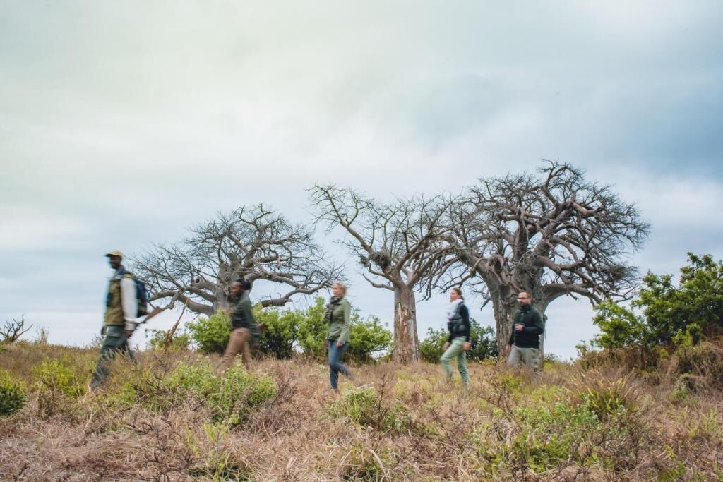 Photo of Outdoor in Kruger National Park