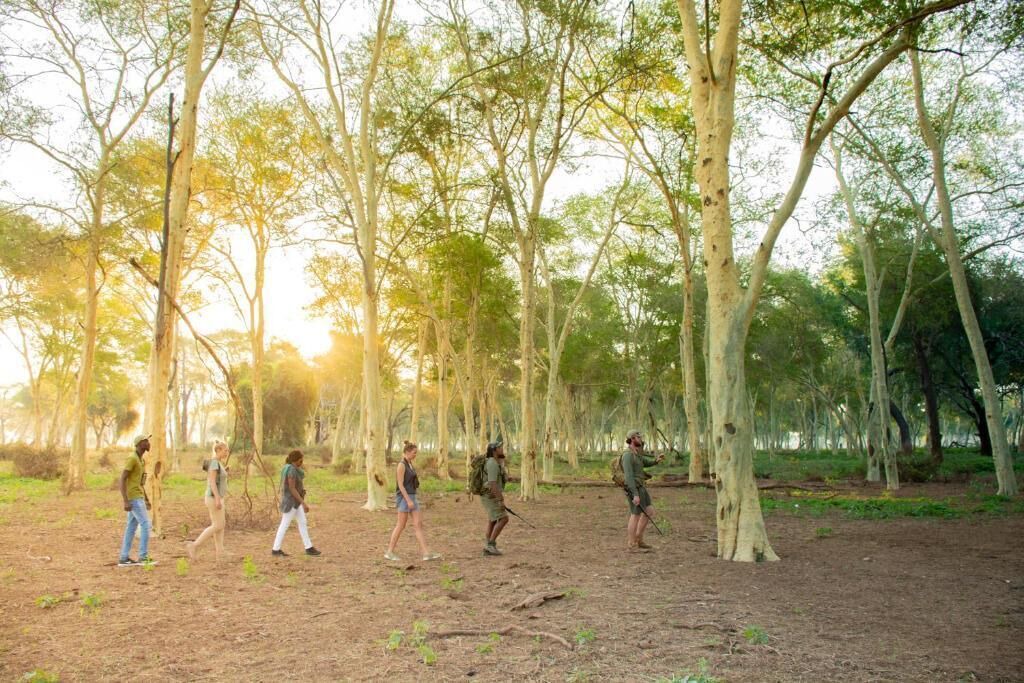 Photo of Outdoor in Kruger National Park