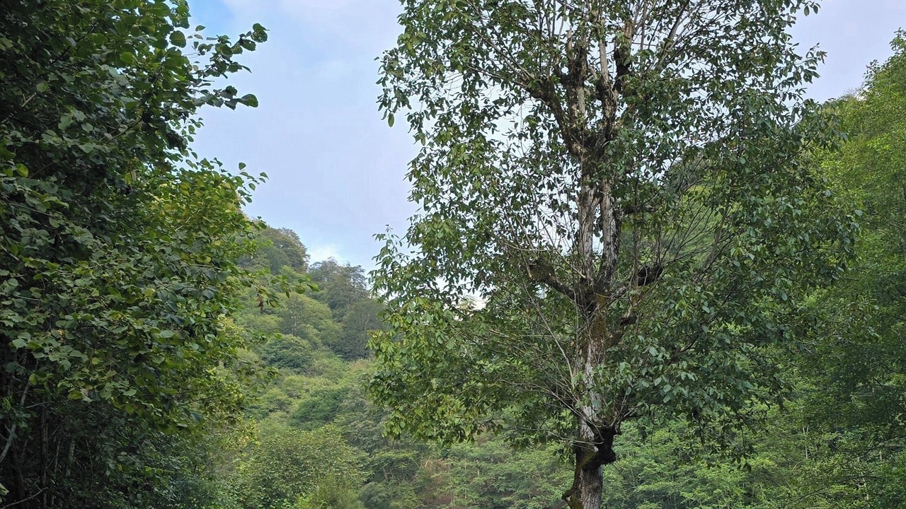 Photo of Outdoor in Cayeli