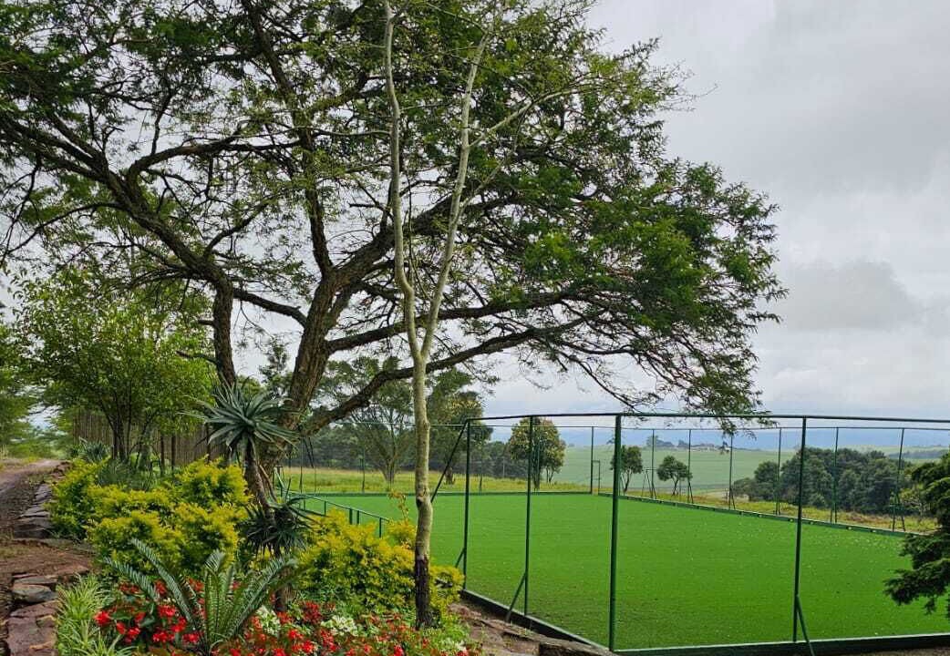 Photo of Outdoor in Mid Illovo
