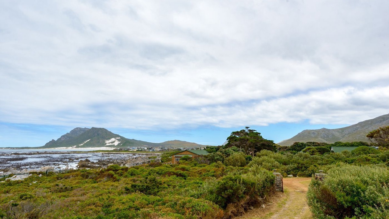Photo of Others in Betty's Bay