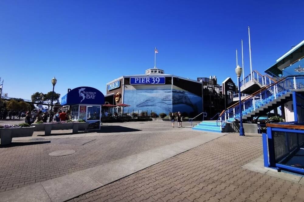 Photo of Others in Mission Bay