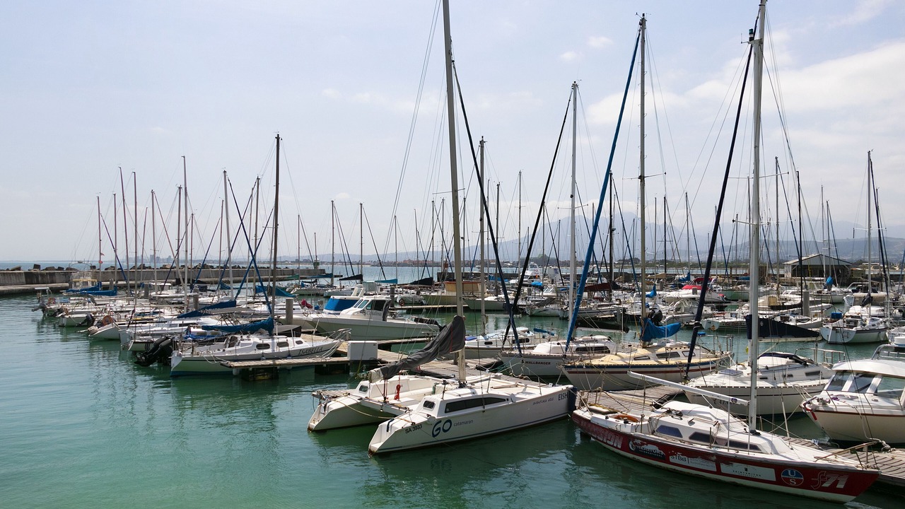 Photo of Others in Gordon's Bay