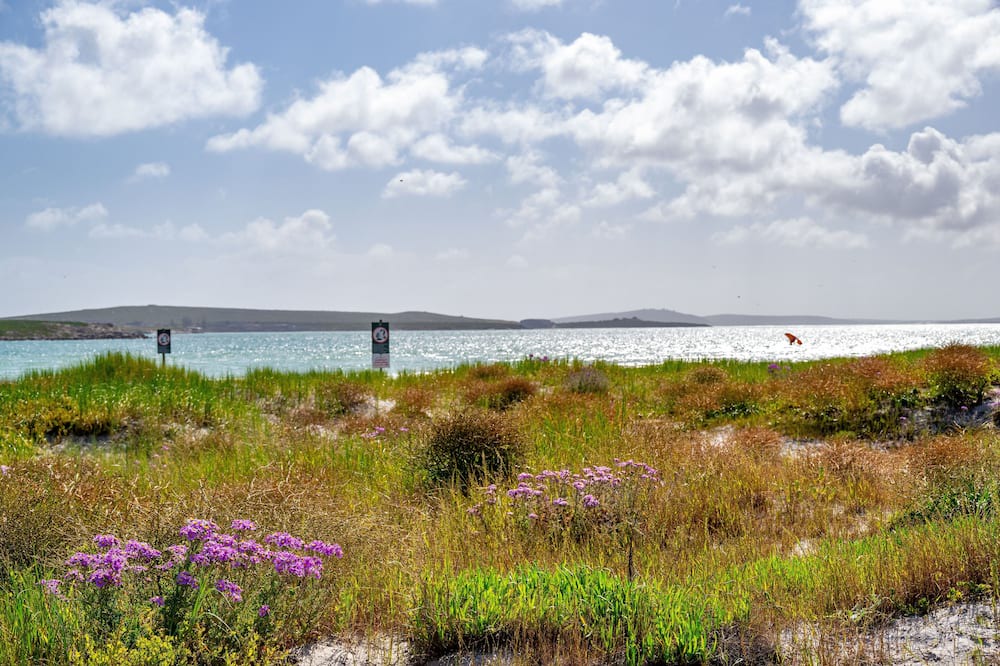 Photo of Others in Mykonos