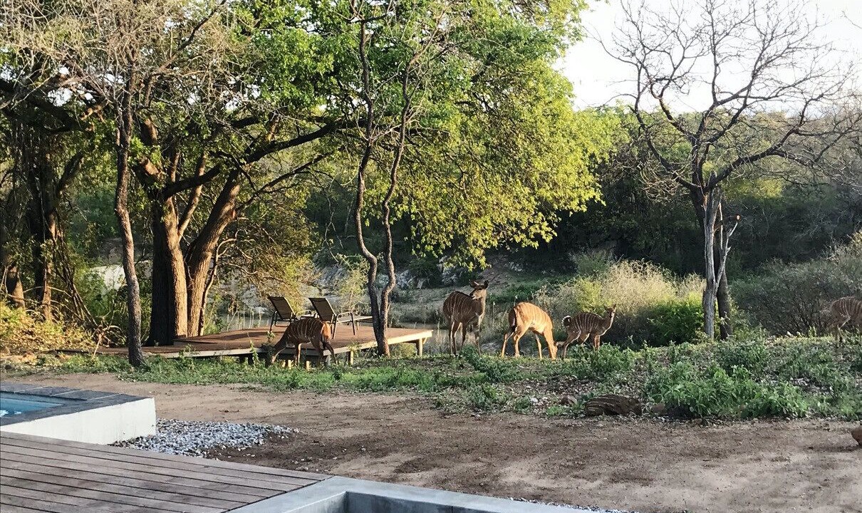 Photo of Outdoor in Hoedspruit