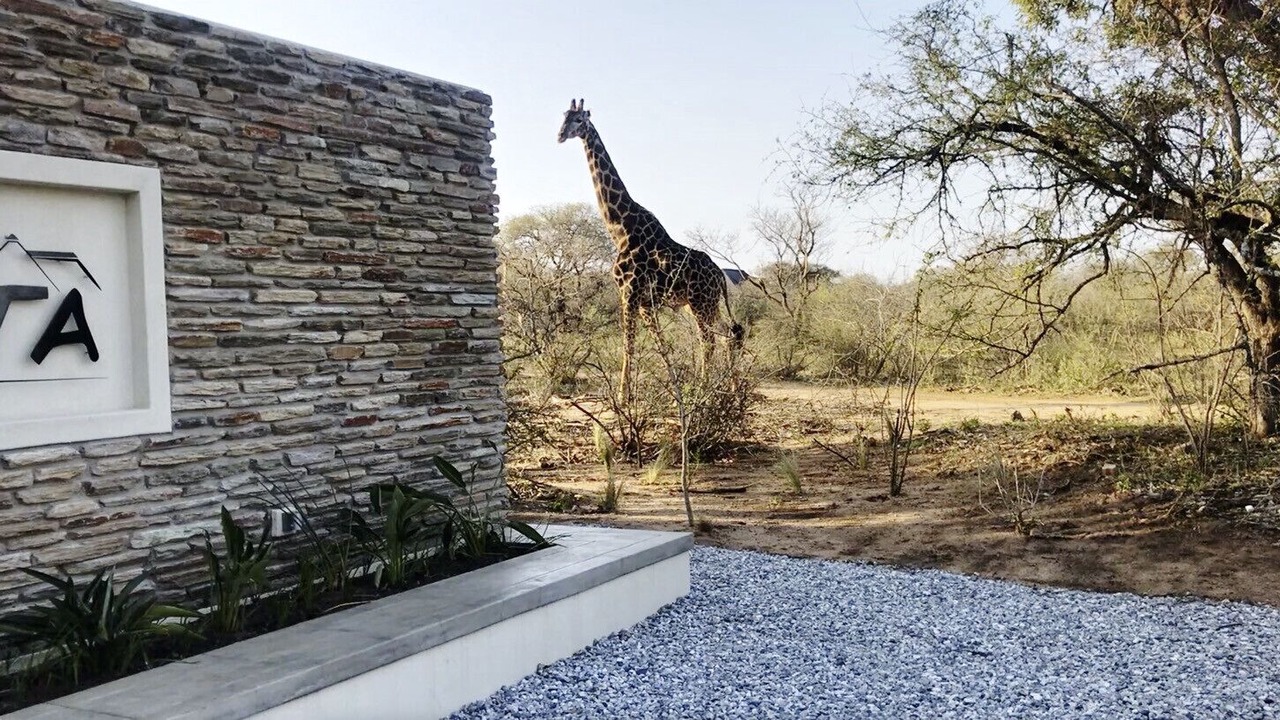 Photo of Outdoor in Hoedspruit