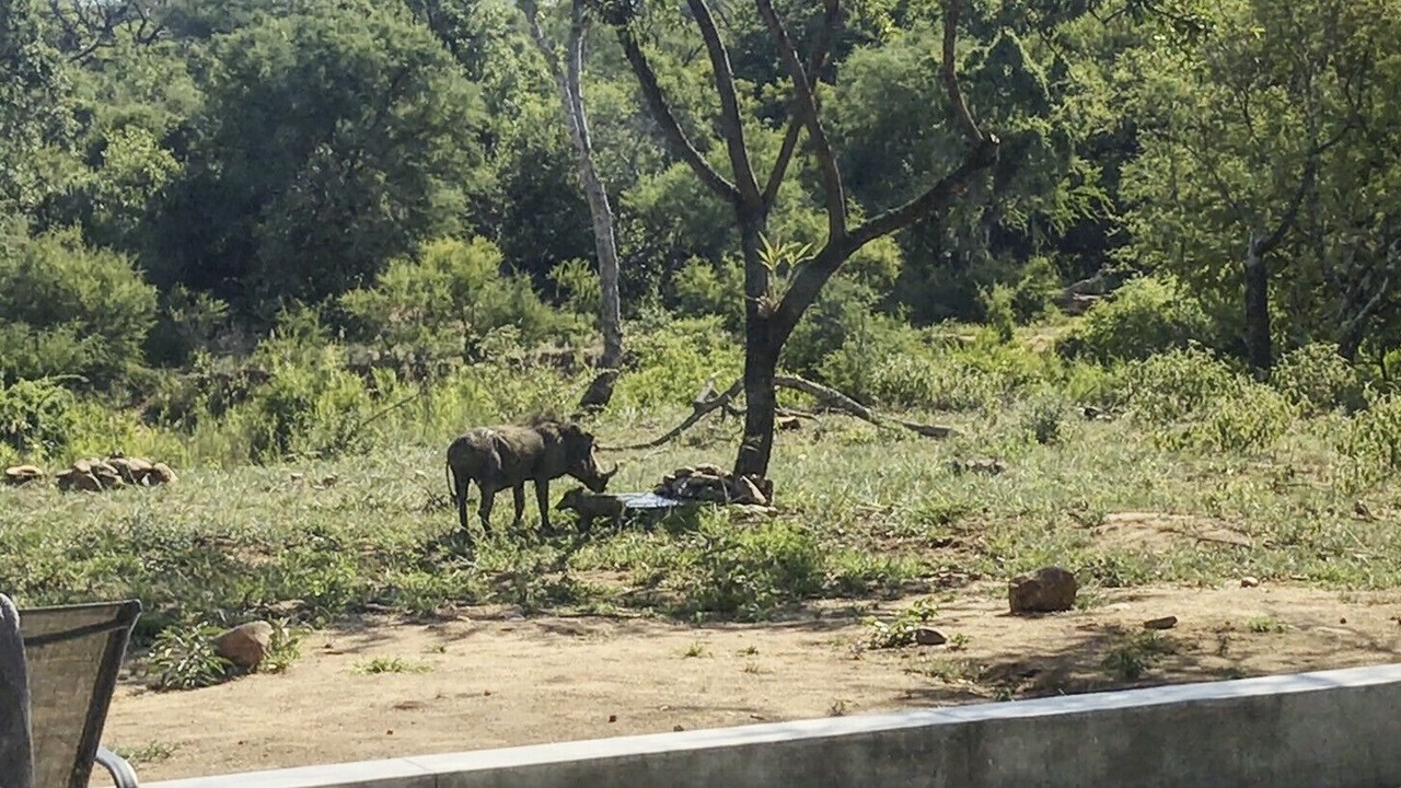 Photo of Outdoor in Hoedspruit