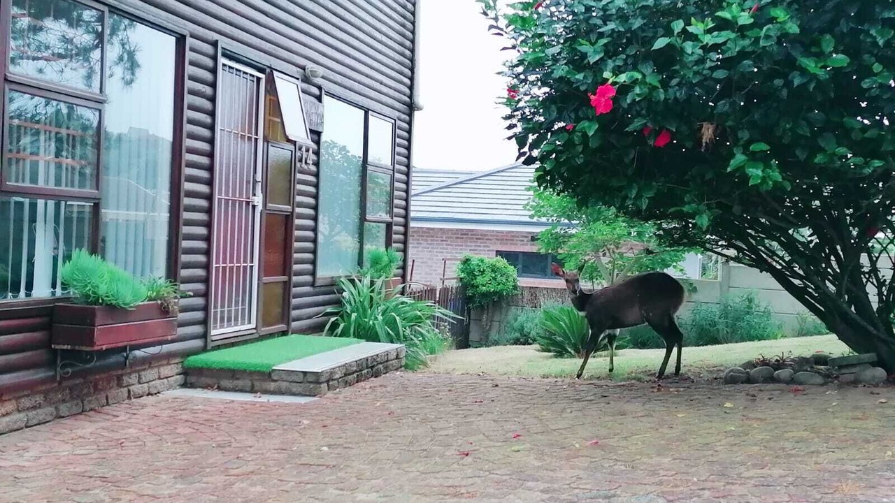 Photo of Outdoor in Mossel Bay