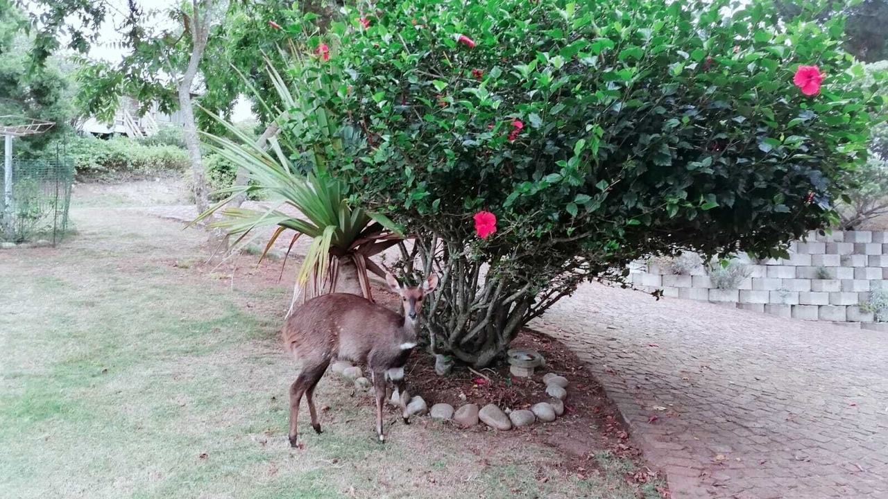 Photo of Outdoor in Mossel Bay