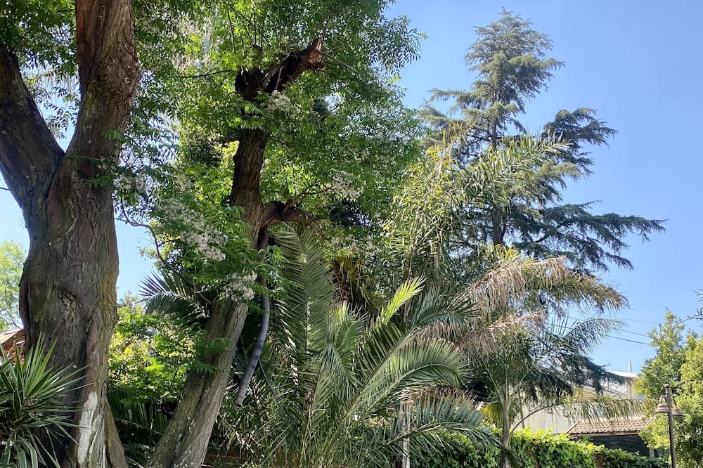 Photo of Outdoor in Edenvale