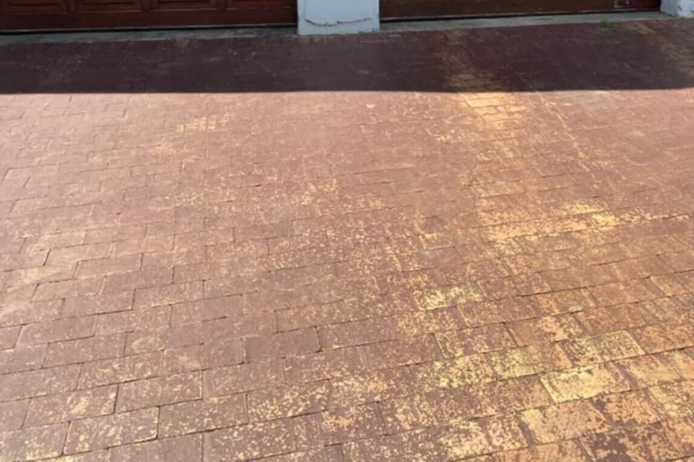 Photo of Outdoor in Edenvale